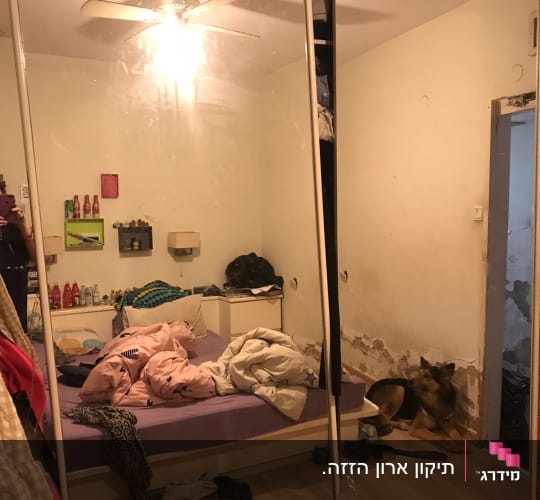 חדר שינה עם מראה גדולה, מיטה מבולגנת וכלב בפינה